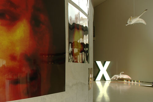 Installation view